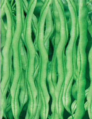 ����鿴��ϸ��Ϣ<br>���⣺������ѡ�ܶ��� �Ķ�������3149