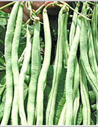 ����鿴��ϸ��Ϣ<br>���⣺�س��޽�ܶ��� �Ķ�������3463