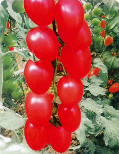 ����鿴��ϸ��Ϣ<br>���⣺����ǧ�� �Ķ�������3659