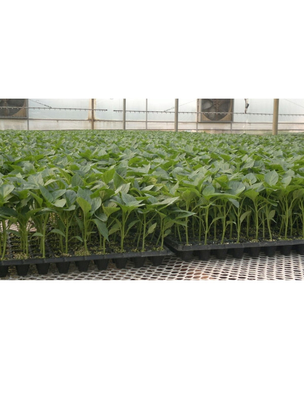 ����鿴��ϸ��Ϣ<br>���⣺���� �Ķ�������3298