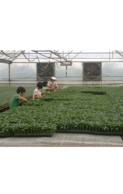 ����鿴��ϸ��Ϣ<br>���⣺������������� �Ķ�������2449