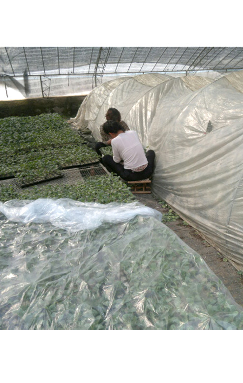 ����鿴��ϸ��Ϣ<br>���⣺�ƹ���޽��� �Ķ�������2638