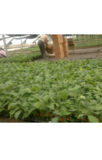 ����鿴��ϸ��Ϣ<br>���⣺���������� �Ķ�������2848