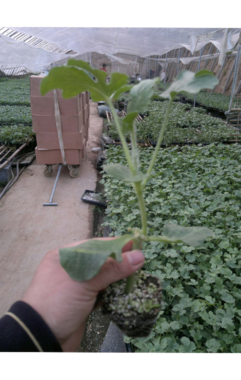 ����鿴��ϸ��Ϣ<br>���⣺������������ �Ķ�������2849