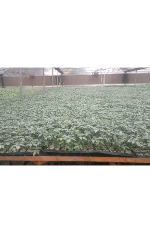 ����鿴��ϸ��Ϣ<br>���⣺�������������� �Ķ�������2771