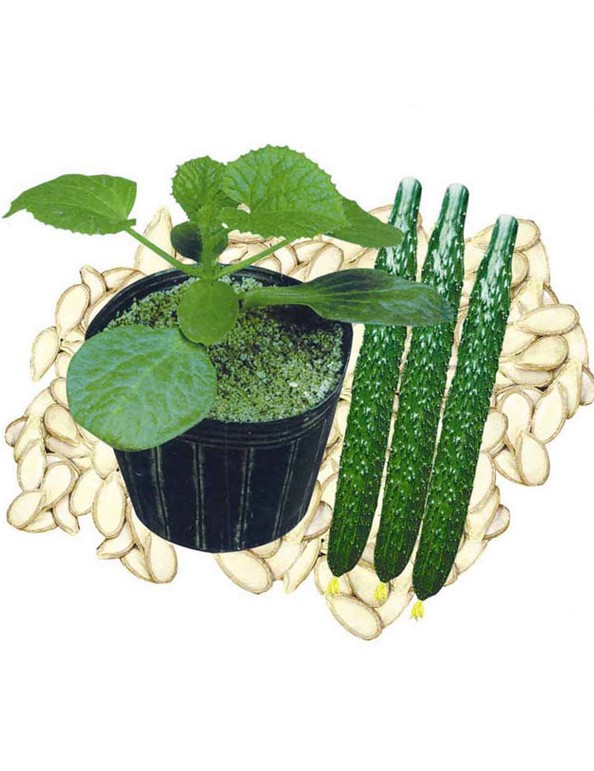 ����鿴��ϸ��Ϣ<br>���⣺�޽ӻƹ�ר����ľ�������� �Ķ�������3590