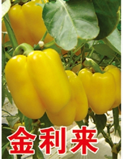 ����鿴��ϸ��Ϣ<br>���⣺������ �Ķ�������2766