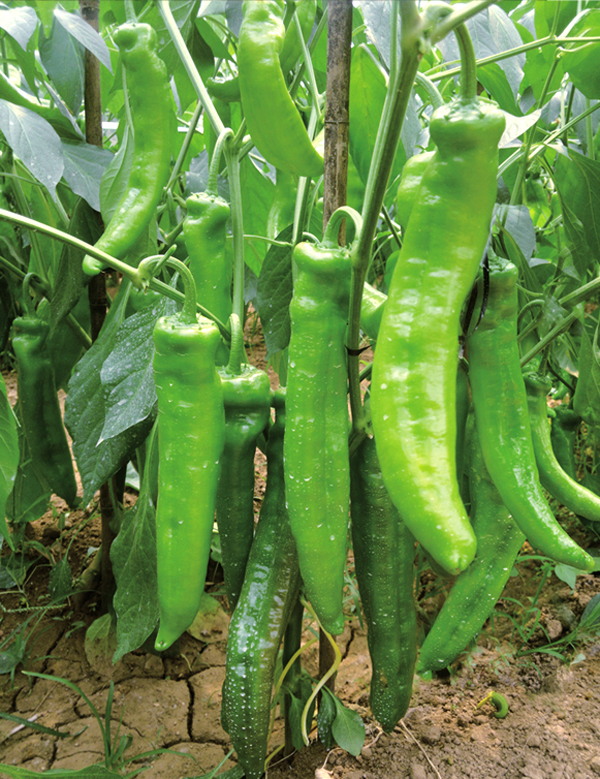 ����鿴��ϸ��Ϣ<br>���⣺�ھ�һ�� �Ķ�������3309