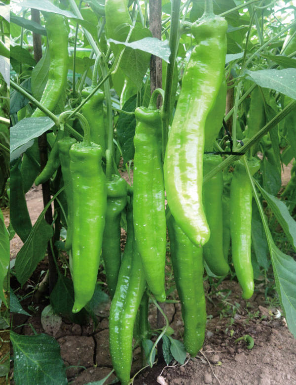 ����鿴��ϸ��Ϣ<br>���⣺�ھ����� �Ķ�������3451