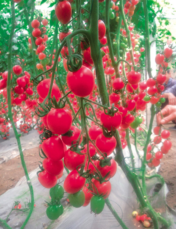 ����鿴��ϸ��Ϣ<br>���⣺����1�� �Ķ�������3669