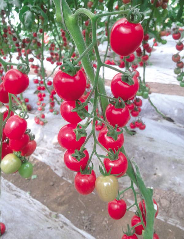 ����鿴��ϸ��Ϣ<br>���⣺����2�� �Ķ�������3360