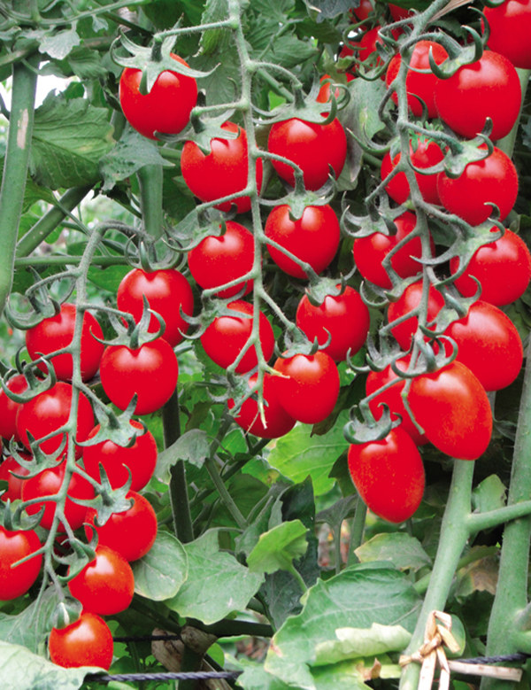 ����鿴��ϸ��Ϣ<br>���⣺������ �Ķ�������5063