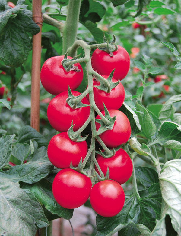 ����鿴��ϸ��Ϣ<br>���⣺�۱��� �Ķ�������2855