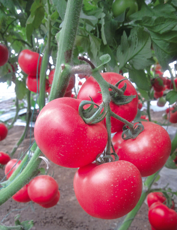 ����鿴��ϸ��Ϣ<br>���⣺���� �Ķ�������4310