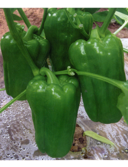 ����鿴��ϸ��Ϣ<br>���⣺����� �Ķ�������2921