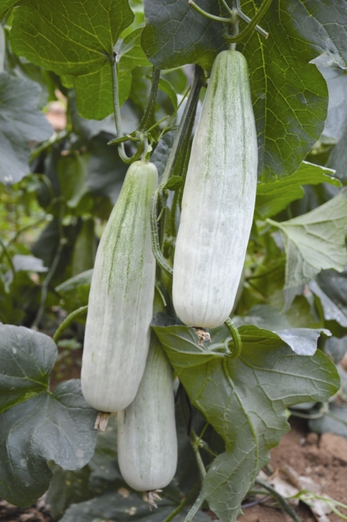 ����鿴��ϸ��Ϣ<br>���⣺�¸�������� �Ķ�������5394