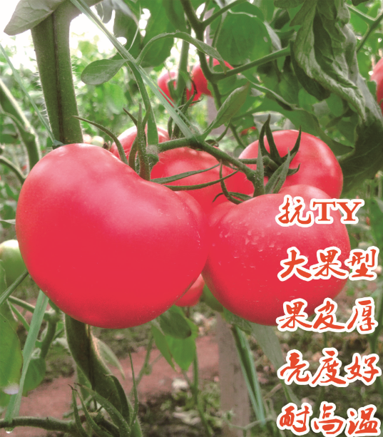 ����鿴��ϸ��Ϣ<br>���⣺�����ĺ� �Ķ�������5963