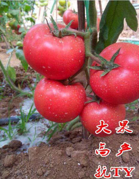 ����鿴��ϸ��Ϣ<br>���⣺��������1�� �Ķ�������5364