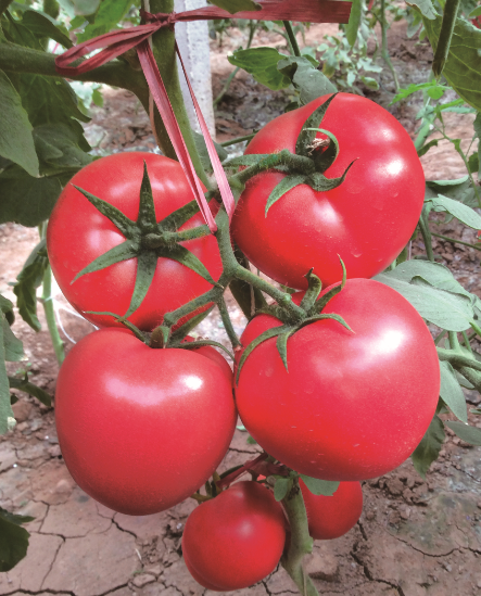 ����鿴��ϸ��Ϣ<br>���⣺����һ�� �Ķ�������4480