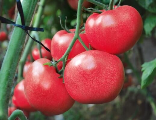 ����鿴��ϸ��Ϣ<br>���⣺��������3�� �Ķ�������4425