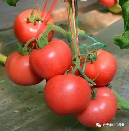 ����鿴��ϸ��Ϣ<br>���⣺��������6�� �Ķ�������1727