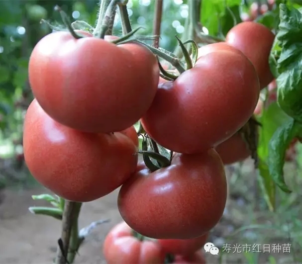 ����鿴��ϸ��Ϣ<br>���⣺��֮�� �Ķ�������1920