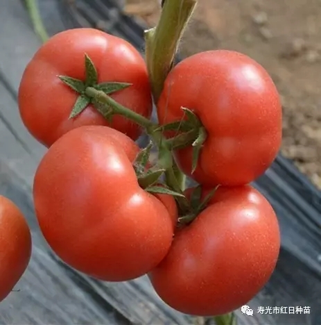 ����鿴��ϸ��Ϣ<br>���⣺����Դ2�� �Ķ�������4651