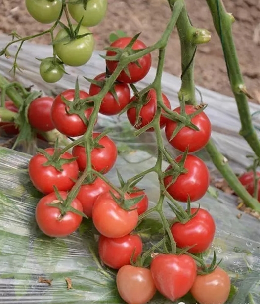 ����鿴��ϸ��Ϣ<br>���⣺����1�� �Ķ�������1639