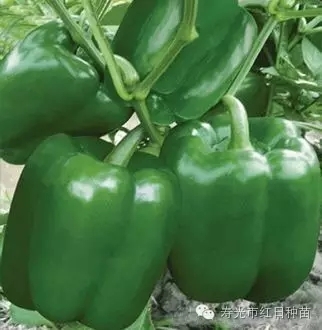 ����鿴��ϸ��Ϣ<br>���⣺���� �Ķ�������3161