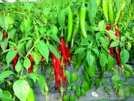 ����鿴��ϸ��Ϣ<br>���⣺����1��������ã� �Ķ�������1881