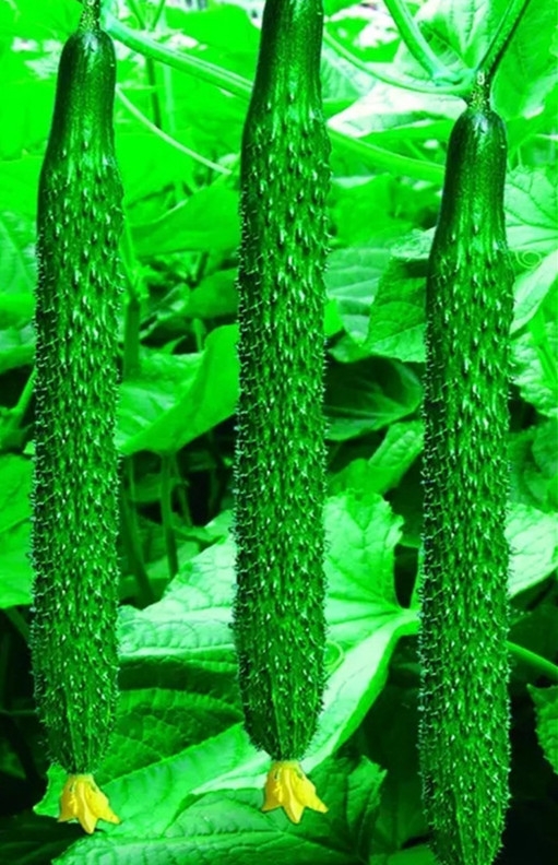 ����鿴��ϸ��Ϣ<br>���⣺������ʢ �Ķ�������3348