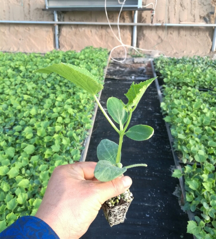 ����鿴��ϸ��Ϣ<br>���⣺�޽ӻƹ��� �Ķ�������4511