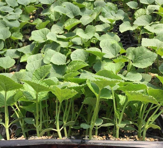 ����鿴��ϸ��Ϣ<br>���⣺����� �Ķ�������1846