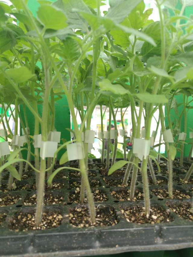 ����鿴��ϸ��Ϣ<br>���⣺�������� �Ķ�������4909