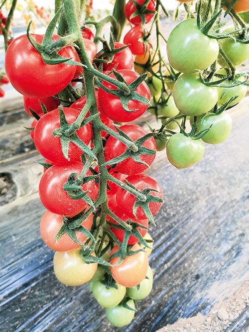 ����鿴��ϸ��Ϣ<br>���⣺������ �Ķ�������1220