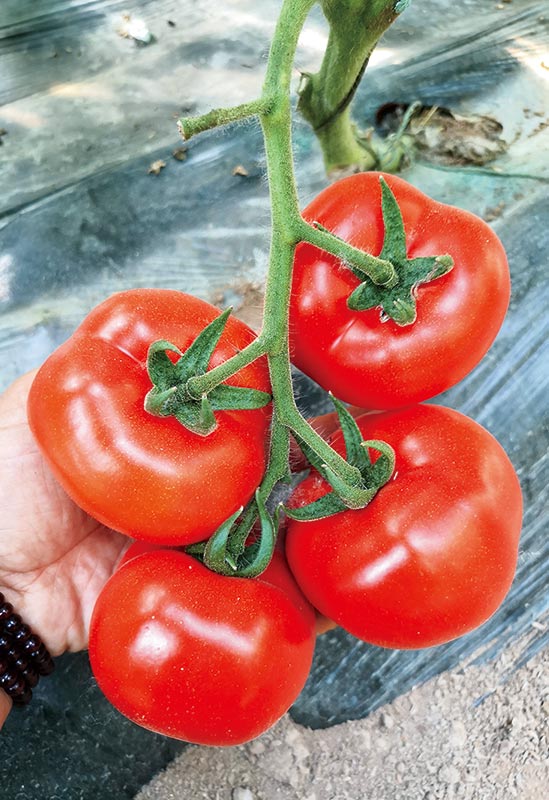 ����鿴��ϸ��Ϣ<br>���⣺����1�� �Ķ�������1064