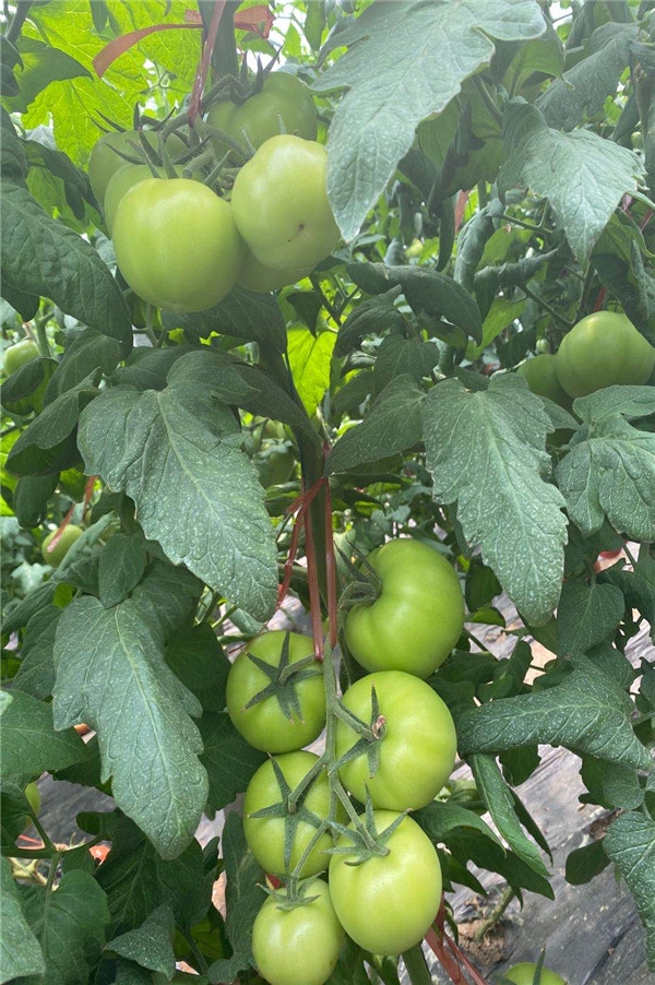 ����鿴��ϸ��Ϣ<br>���⣺���� �� ��4�� �Ķ�������770