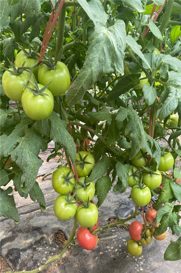 ����鿴��ϸ��Ϣ<br>���⣺���� �� ��4�� �Ķ�������752