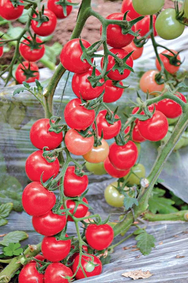 ����鿴��ϸ��Ϣ<br>���⣺���� �� ��4�� �Ķ�������767