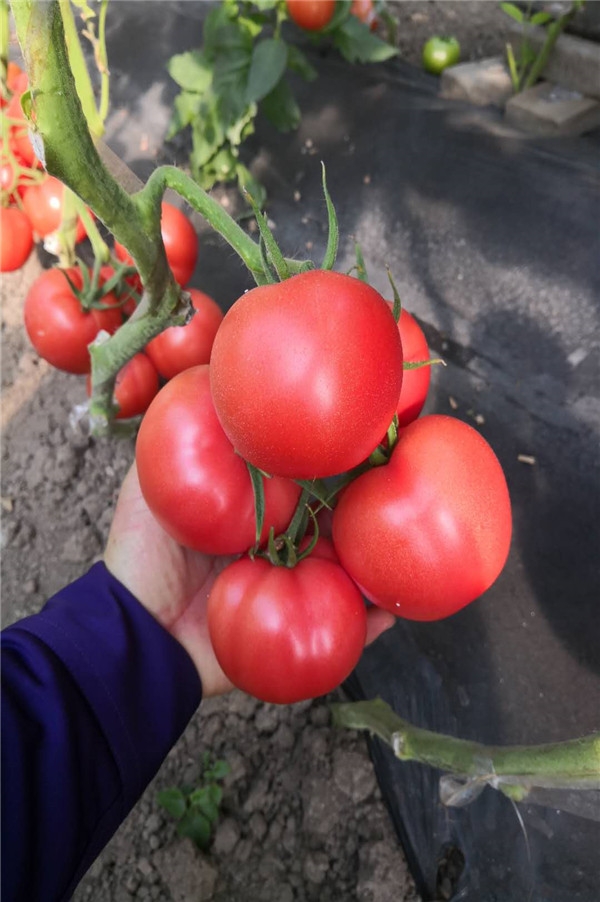 ����鿴��ϸ��Ϣ<br>���⣺���� �� ��4�� �Ķ�������789