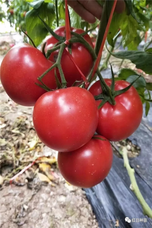 ����鿴��ϸ��Ϣ<br>���⣺���� �� ��3�š� �Ķ�������774