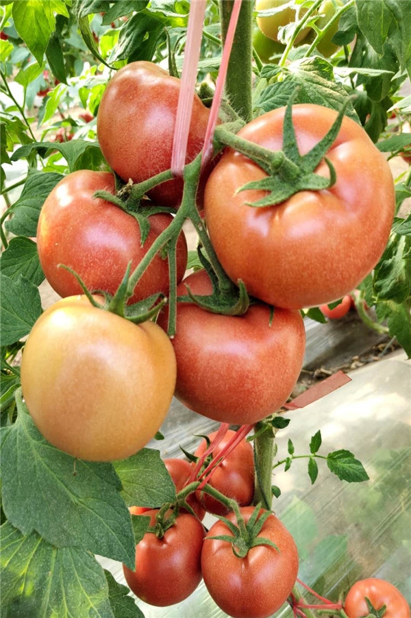 ����鿴��ϸ��Ϣ<br>���⣺��֮�� �Ķ�������713