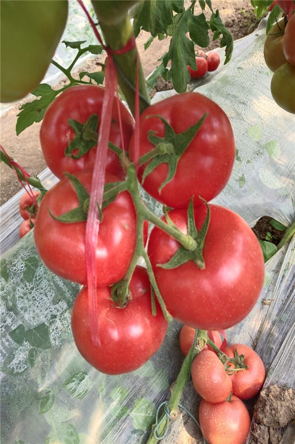 ����鿴��ϸ��Ϣ<br>���⣺��֮�� �Ķ�������891