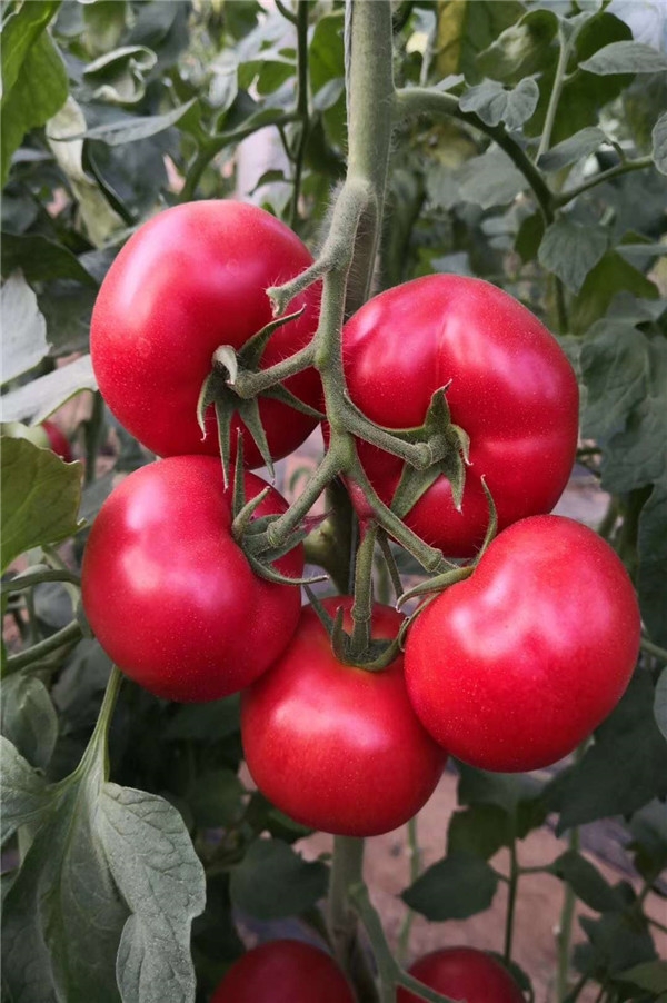 ����鿴��ϸ��Ϣ<br>���⣺��֮�� �Ķ�������905