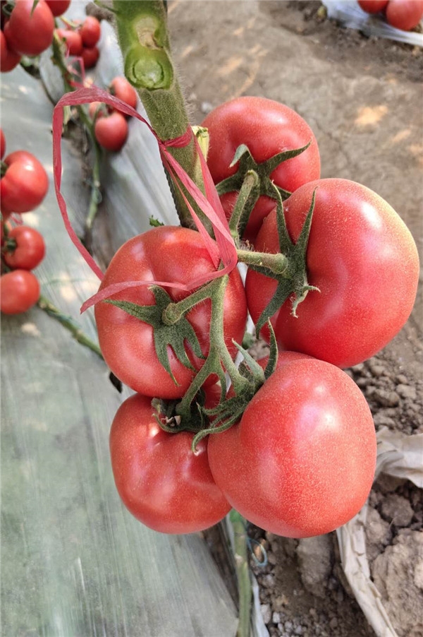 ����鿴��ϸ��Ϣ<br>���⣺��֮�� �Ķ�������721