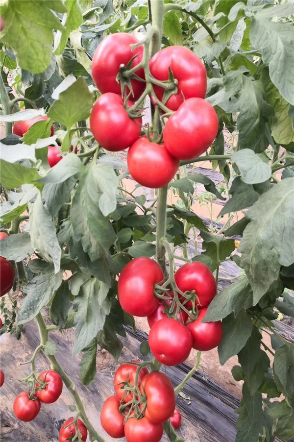 ����鿴��ϸ��Ϣ<br>���⣺��֮�� �Ķ�������818