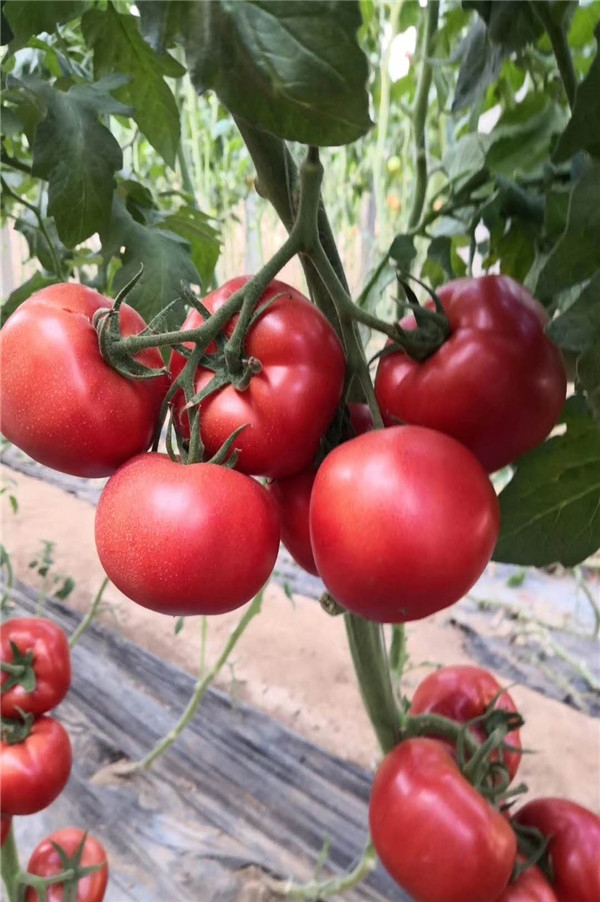 ����鿴��ϸ��Ϣ<br>���⣺��֮�� �Ķ�������882